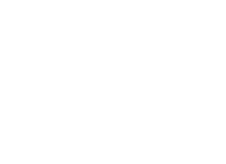 Wedding Vienna